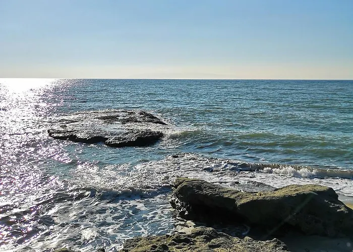 Acrogiali Sunshine